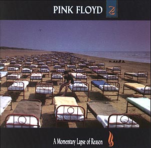 A Momentary Lapse of Reason